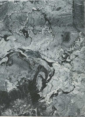 Тарханов Михаил Михайлович. Три композиции эбру в зелено-черно-бежевых тонах (две двухсторонние)